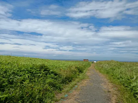 根室半島チャシ跡群 7