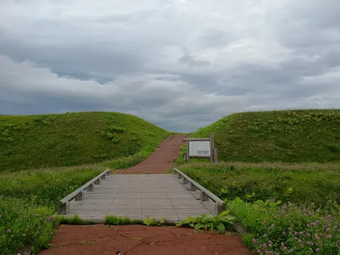 志苔館
