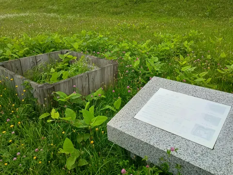 志苔館 7