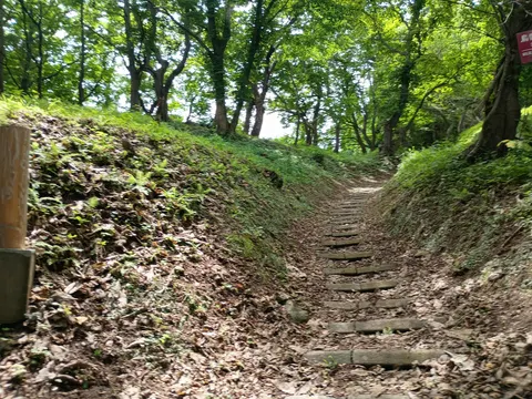 上ノ国勝山館 9