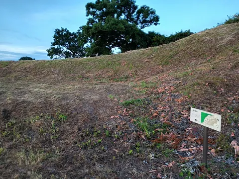 脇本城 10