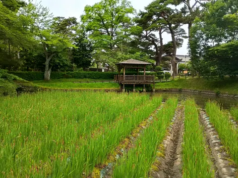 鶴ヶ岡城 8