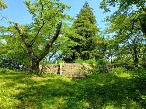 三春城 3
