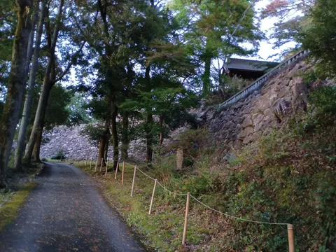 唐沢山城