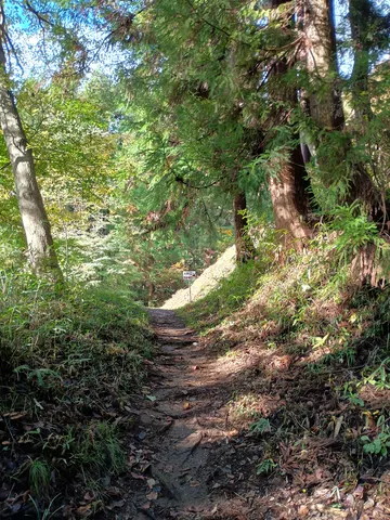 岩櫃城 8