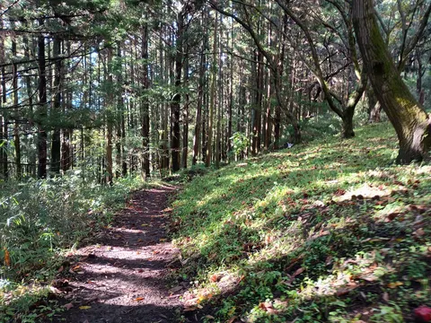 岩櫃城 9