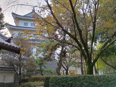 忍城 5