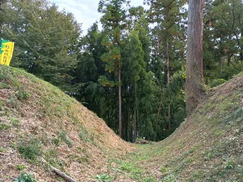杉山城
