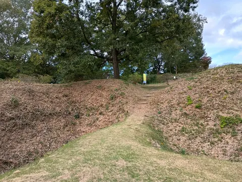 杉山城 2