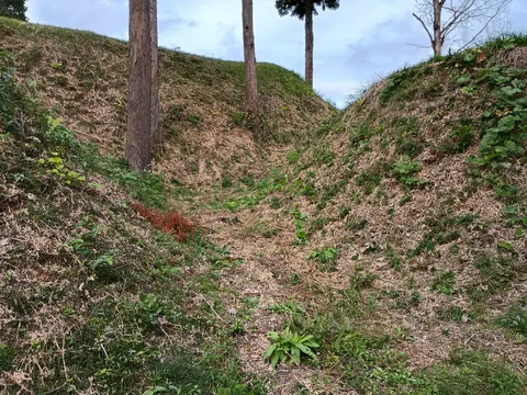 杉山城 4