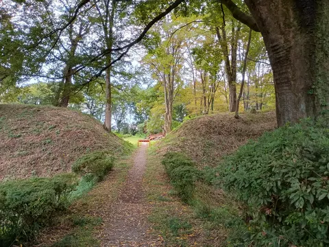 菅谷館