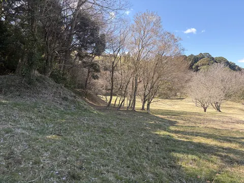 本佐倉城 5