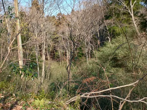 滝山城 3