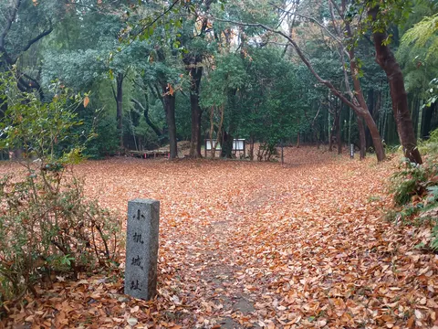 小机城