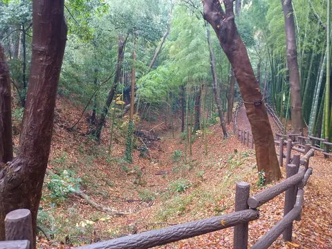 小机城 2