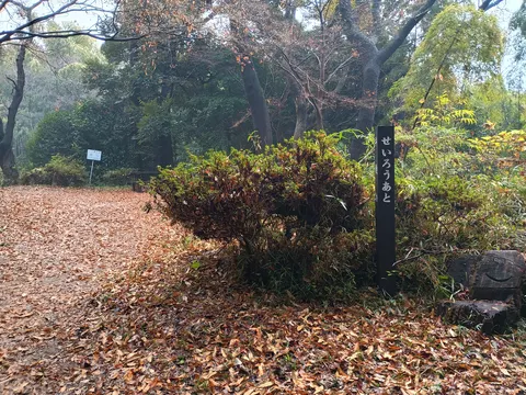 小机城 4
