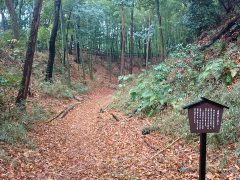 小机城 6