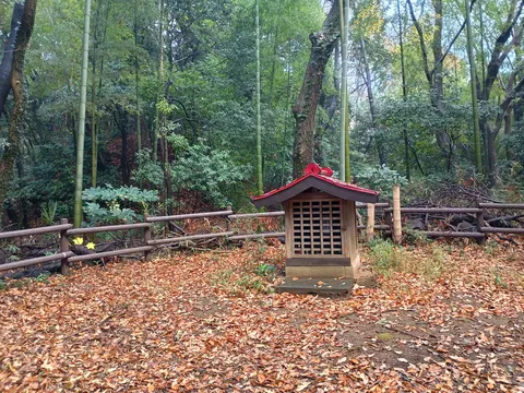 小机城 8