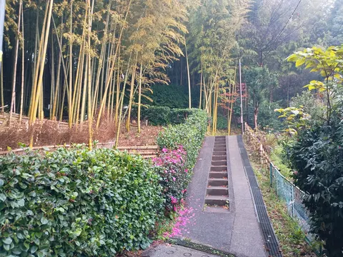 小机城 10