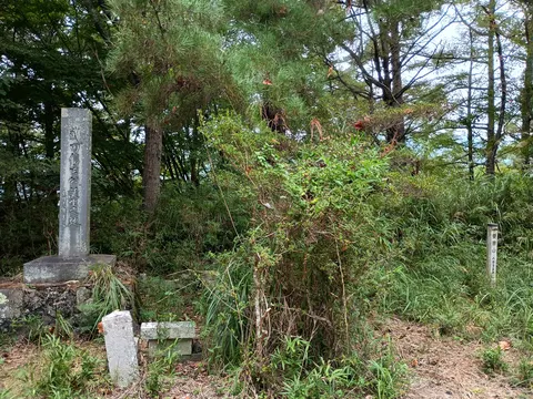 要害山城 2