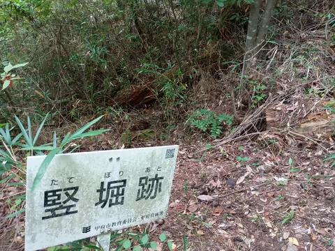 要害山城 5