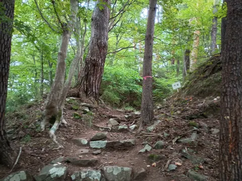 要害山城 7