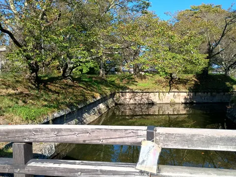 龍岡城 3