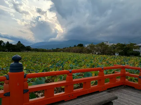 高田城 5
