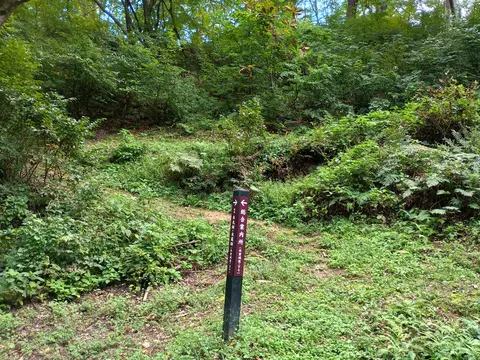 鮫ヶ尾城 3