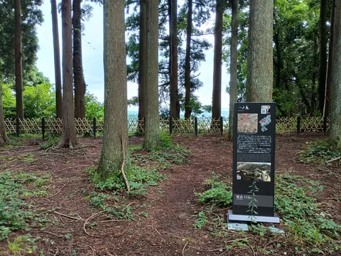増山城 6