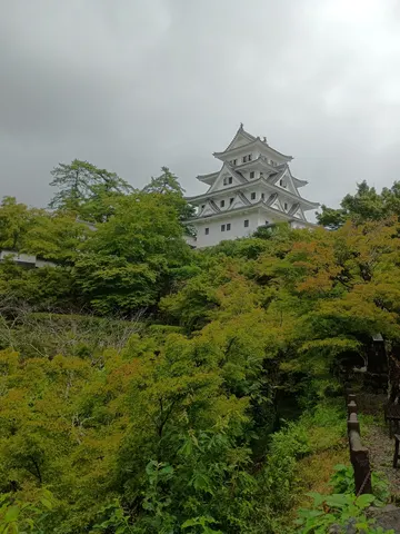 郡上八幡城 2