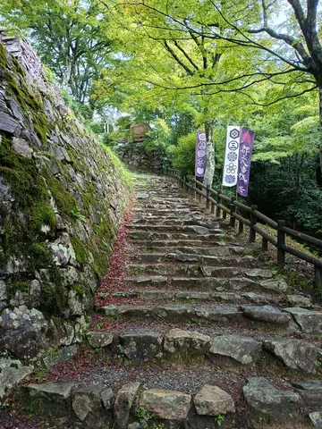 郡上八幡城 5