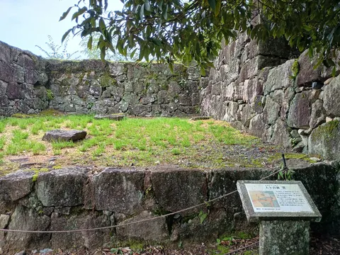 苗木城 4