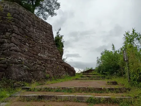苗木城 5