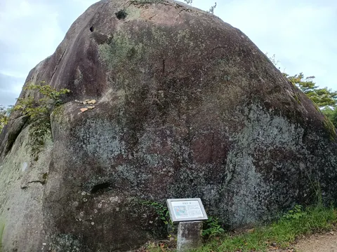 苗木城 6