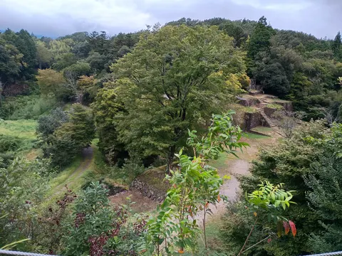 苗木城 8