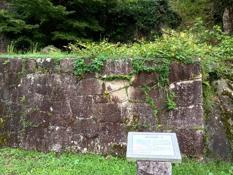 苗木城 9