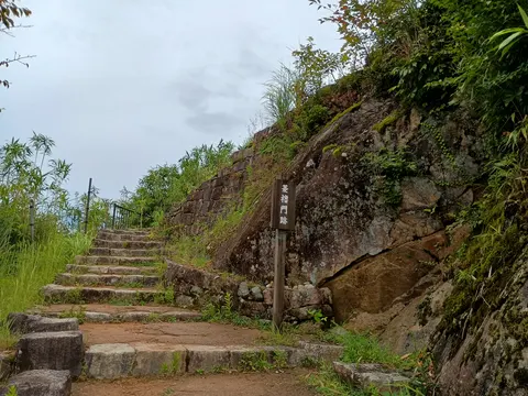 苗木城 10