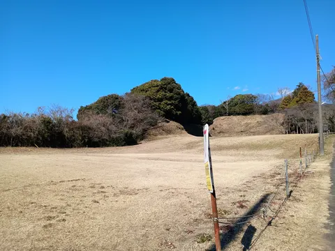 興国寺城 4