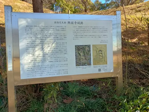興国寺城 8
