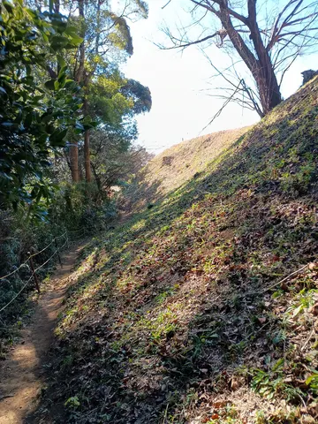 興国寺城 10
