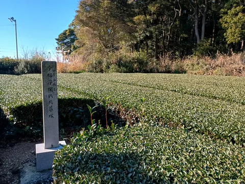 諏訪原城 8