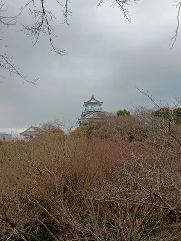 浜松城 9
