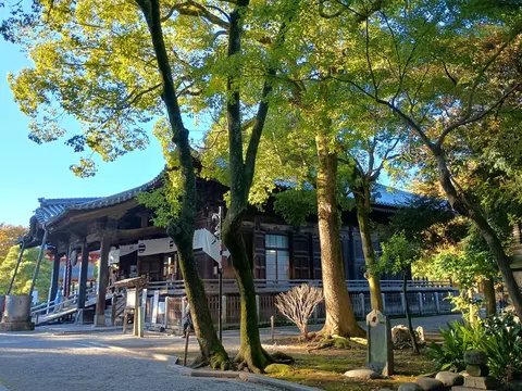 足利氏館 2