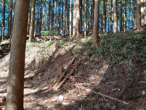 古宮城 2