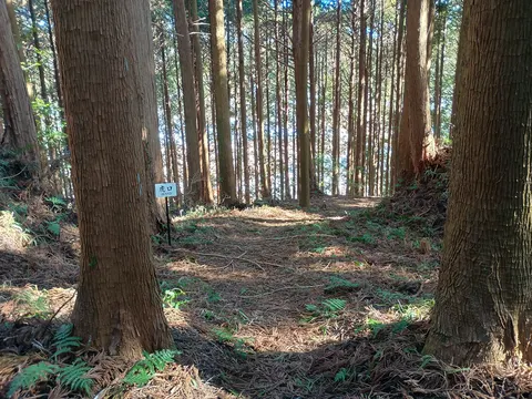 古宮城 5
