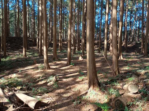 古宮城 6