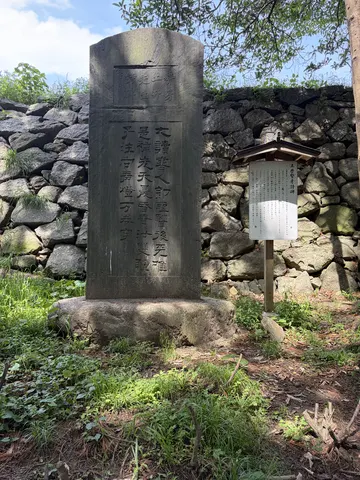 津城 8
