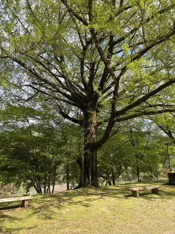 北畠氏館 9