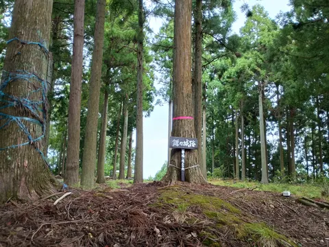 鎌刃城 9